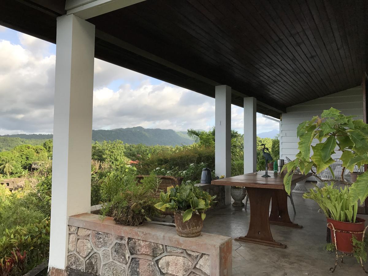 Treetops Villa Port Antonio Kültér fotó