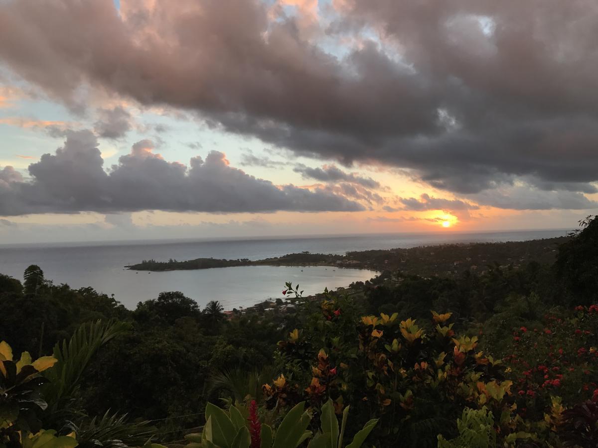 Treetops Villa Port Antonio Kültér fotó