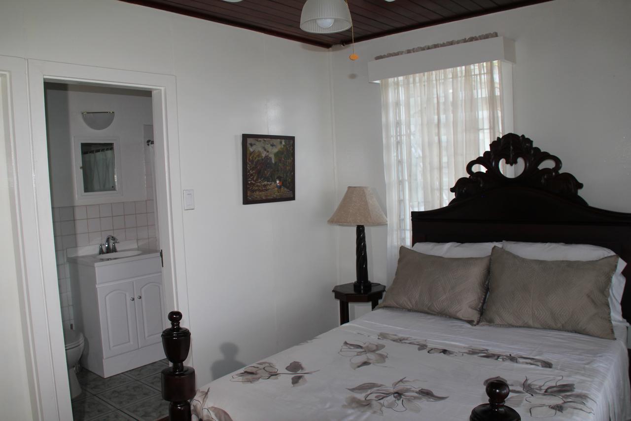Treetops Villa Port Antonio Kültér fotó