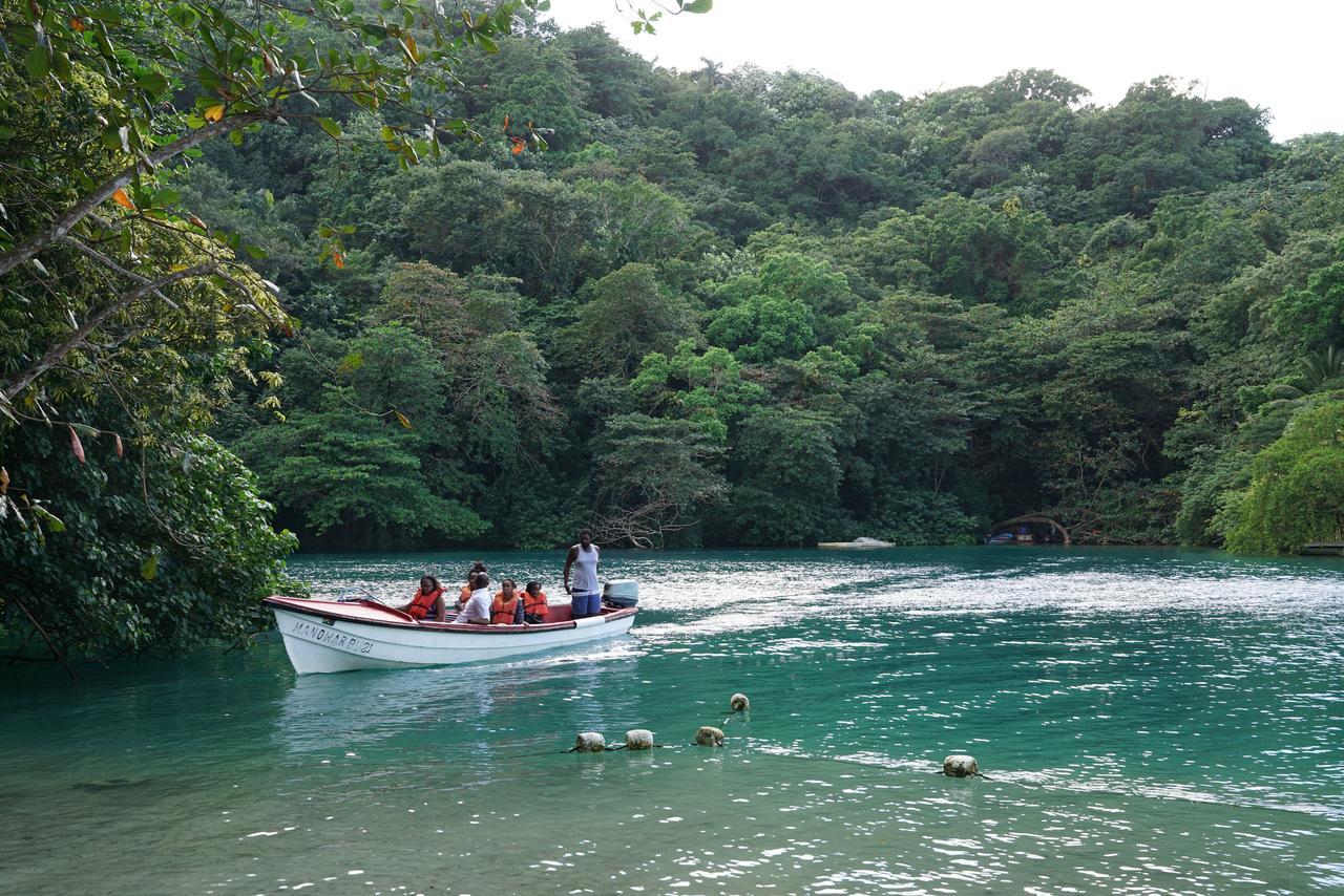 Treetops Villa Port Antonio Kültér fotó